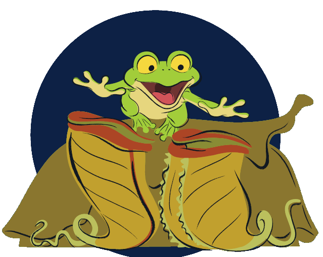 Summer 2024 • Volume 33 • Number 2Sounds of the Bayou